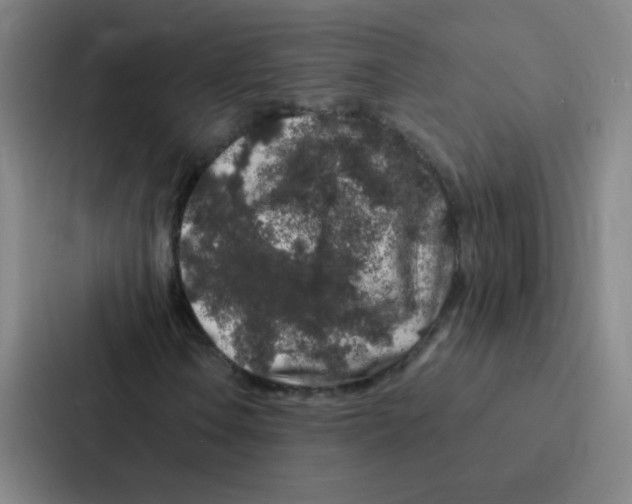 X0000086951106200705141816