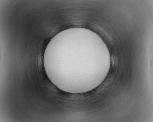 X0000086951107200705141816