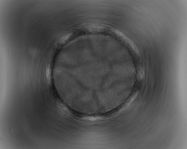 X0000086951108200705141816