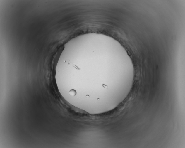 X0000086951109200705141816