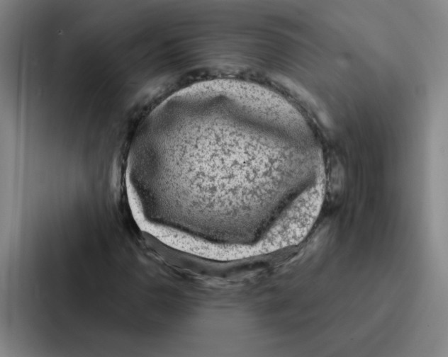 X0000086951110200705141816