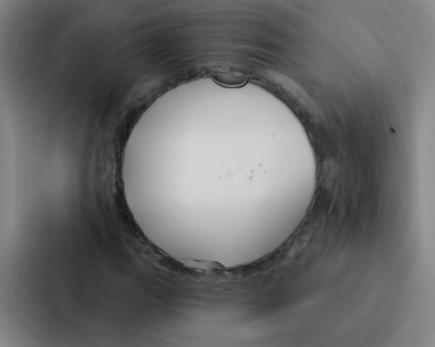 X0000086951111200705141816