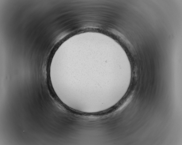 X0000086951113200705141816