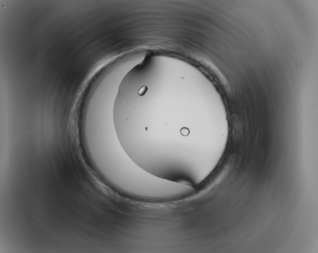 X0000086951114200705141816