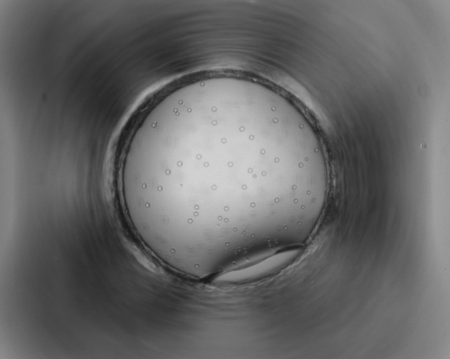 X0000086951116200705141816