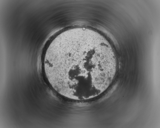 X0000086951117200705141816