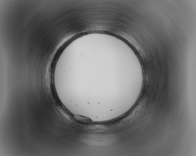 X0000086951119200705141817