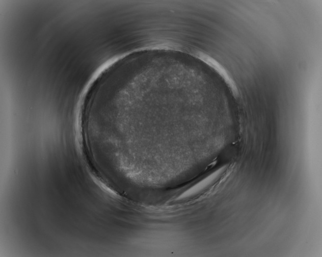 X0000086951120200705141817