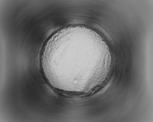 X0000086951121200705141817