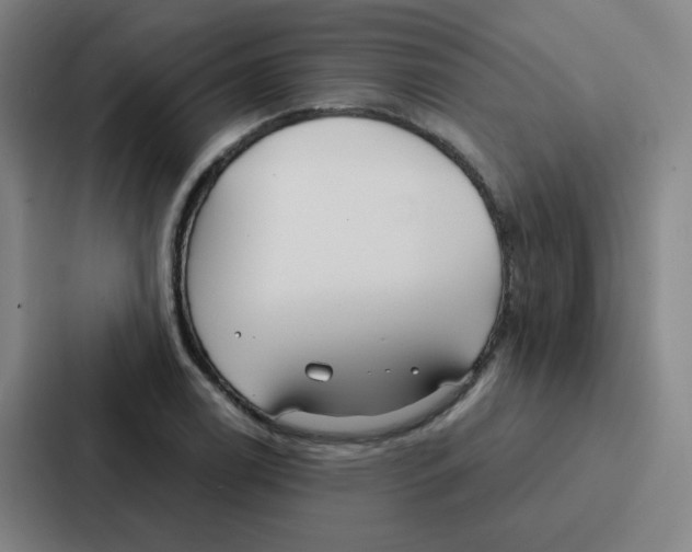 X0000086951122200705141817