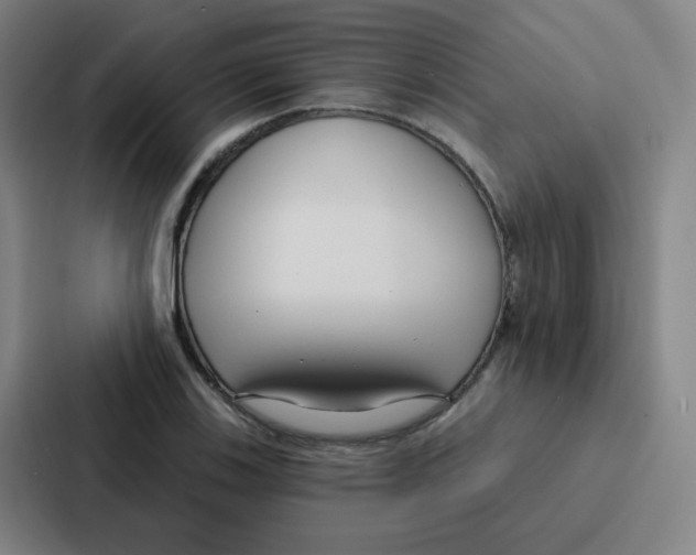 X0000086951123200705141817