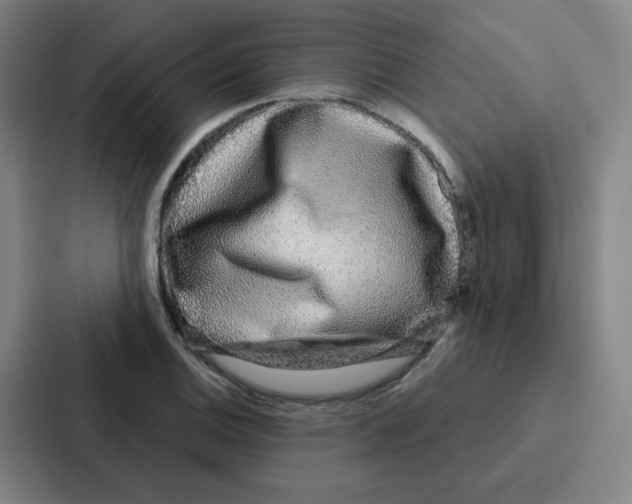 X0000086951124200705141817