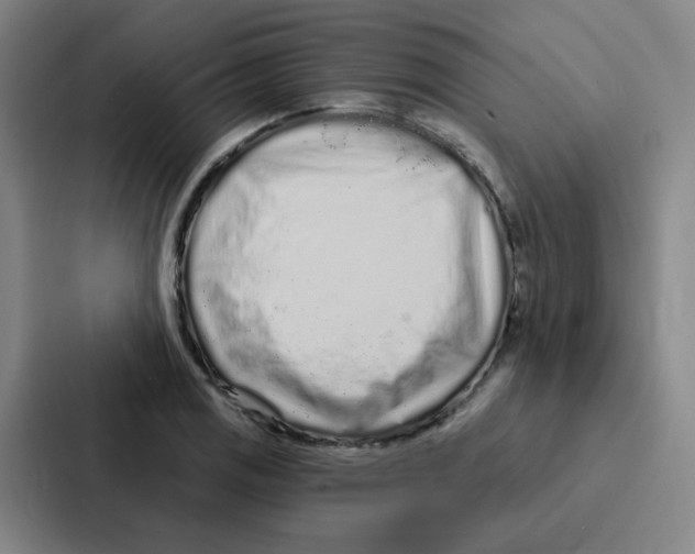 X0000086951125200705141817