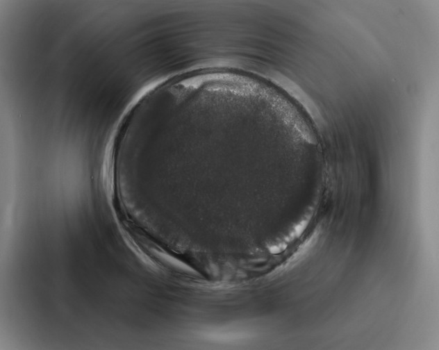 X0000086951127200705141817