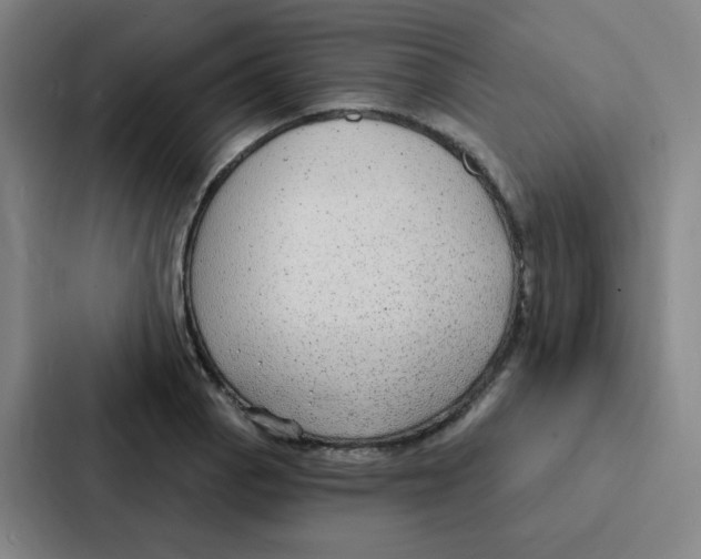 X0000086951129200705141817