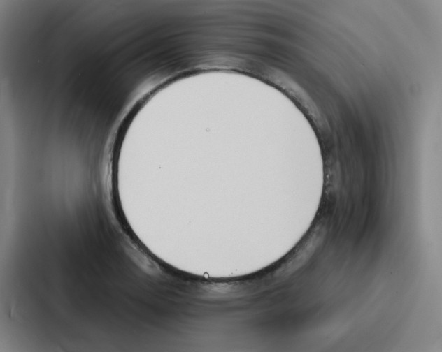 X0000086951130200705141817