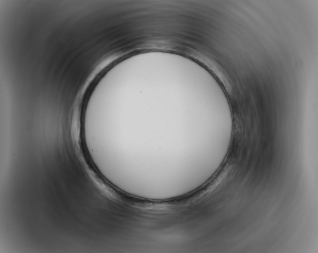 X0000086951131200705141817