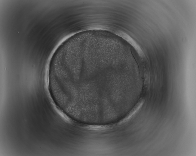 X0000086951132200705141817