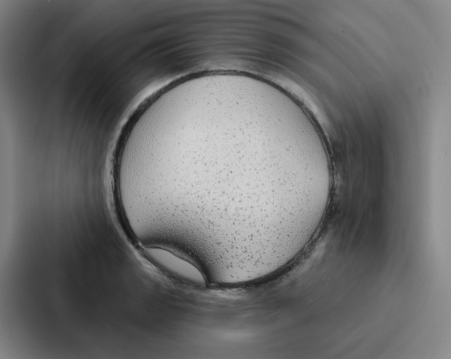 X0000086951133200705141817