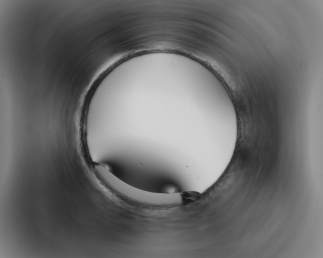 X0000086951134200705141817