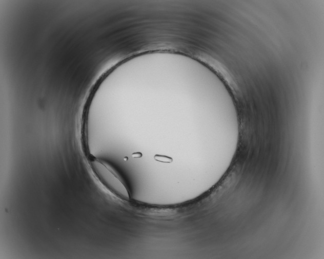 X0000086951135200705141817