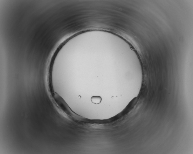 X0000086951136200705141817