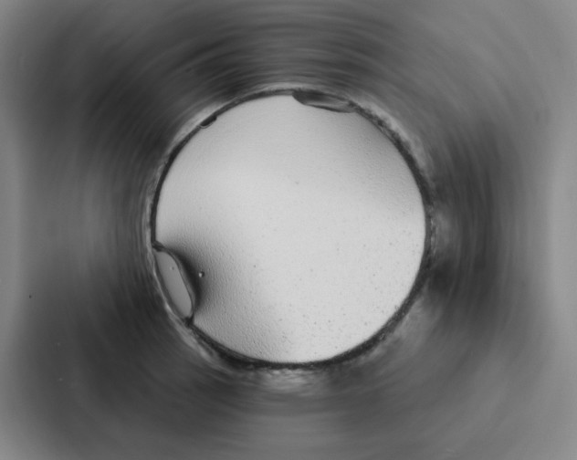 X0000086951137200705141817