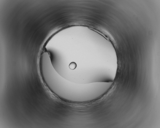 X0000086951138200705141817