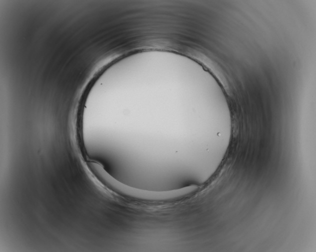 X0000086951139200705141817