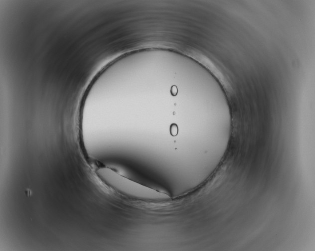 X0000086951140200705141817