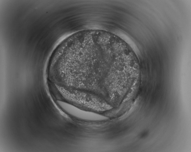 X0000086951141200705141817