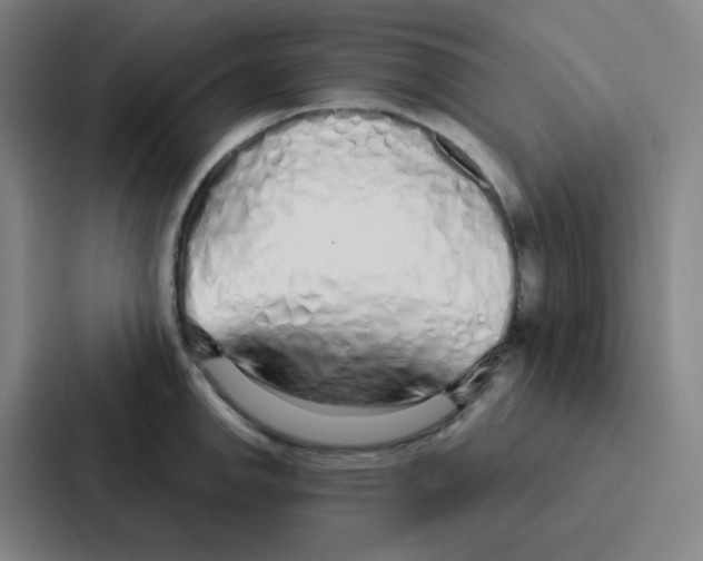 X0000086951142200705141817