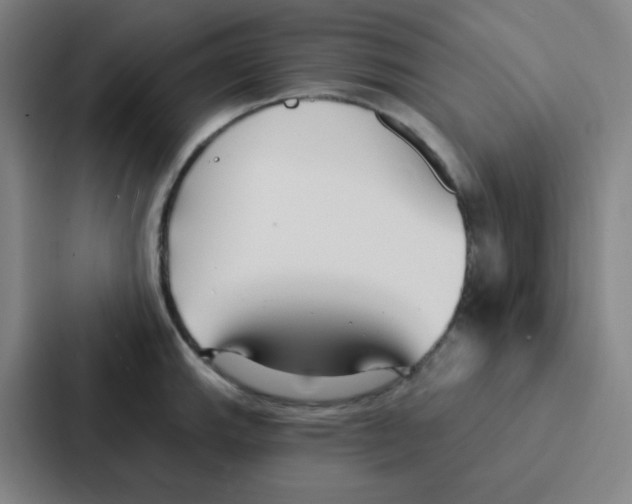 X0000086951143200705141817