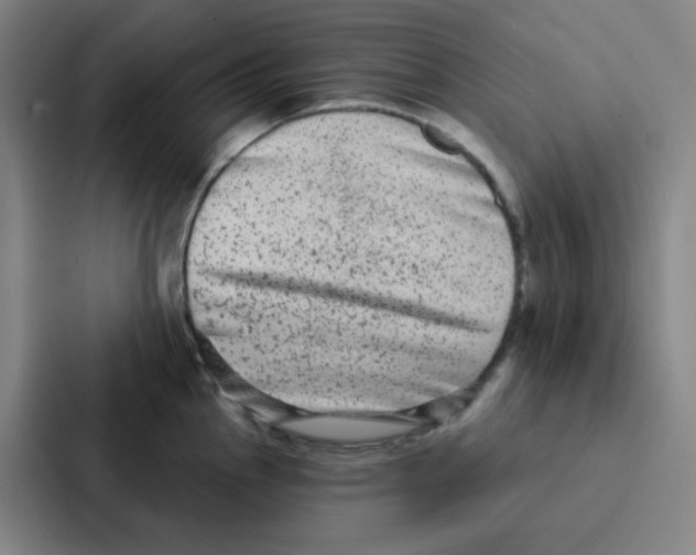 X0000086951145200705141817