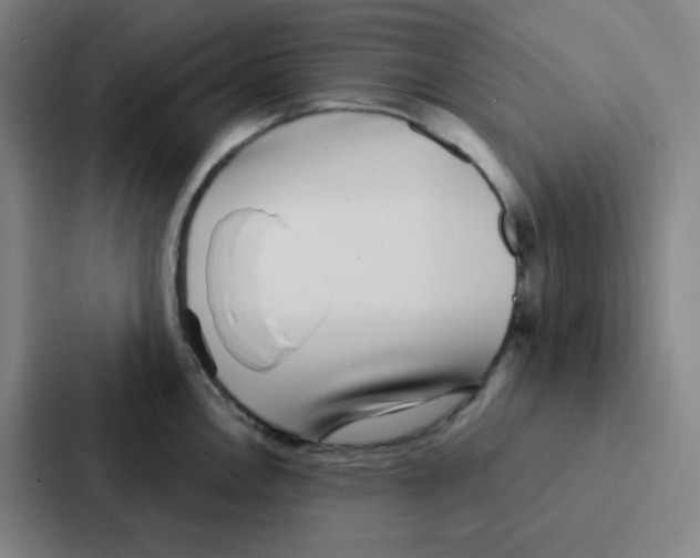 X0000086951146200705141817