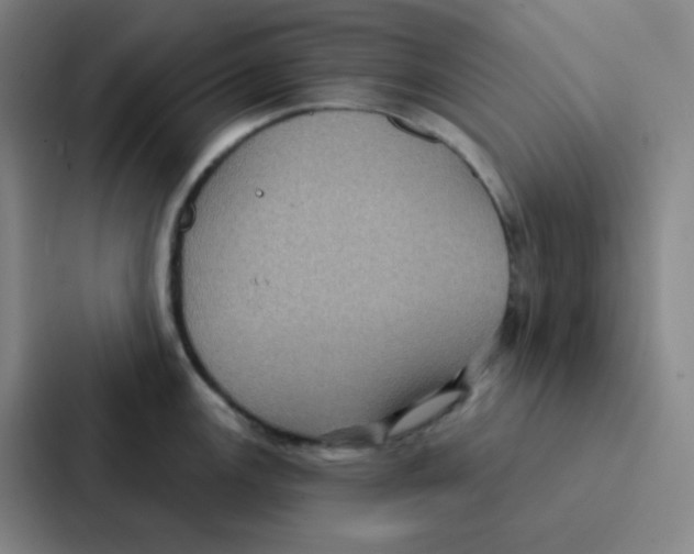 X0000086951147200705141817