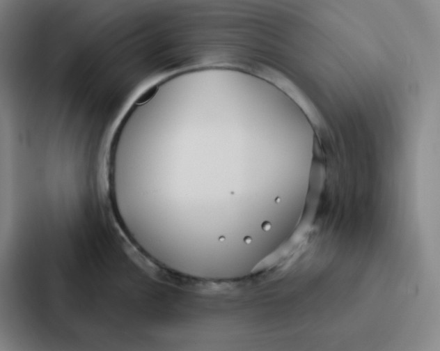 X0000086951148200705141817