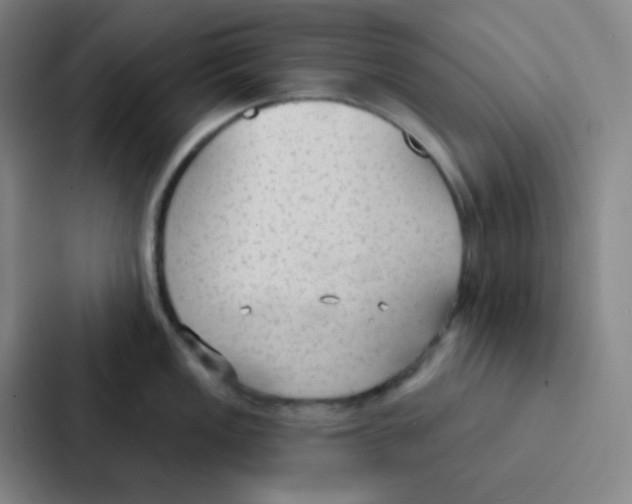 X0000086951149200705141817