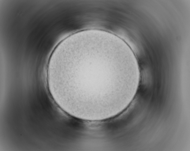 X0000086951150200705141817