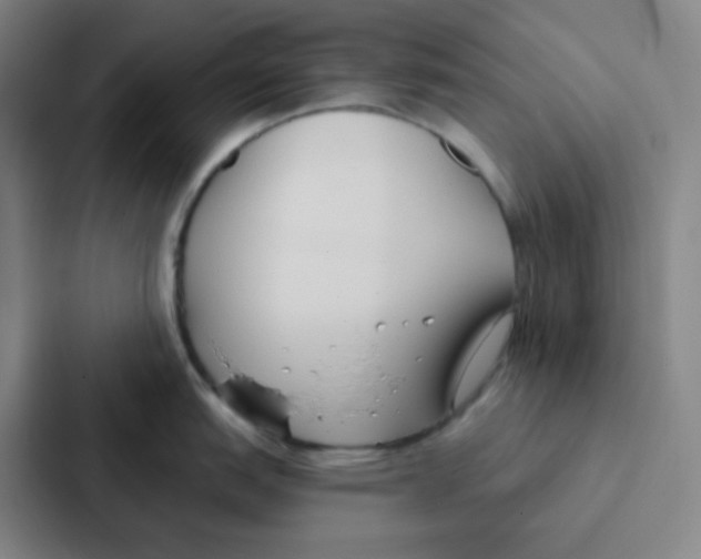 X0000086951151200705141817