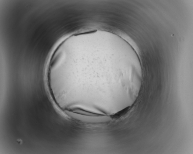 X0000086951152200705141817