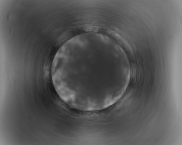 X0000086951154200705141816