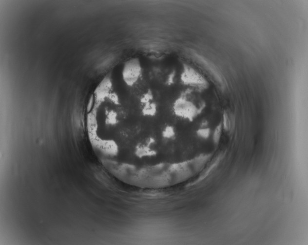 X0000086951155200705141816