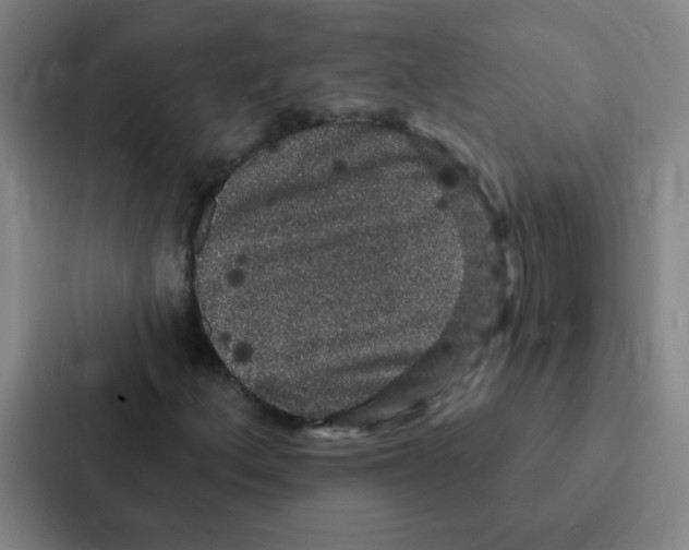 X0000086951156200705141816