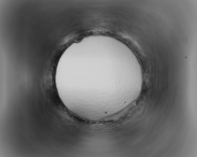 X0000086951159200705141816