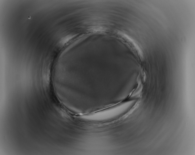 X0000086951161200705141816