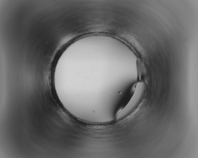 X0000086951164200705141816