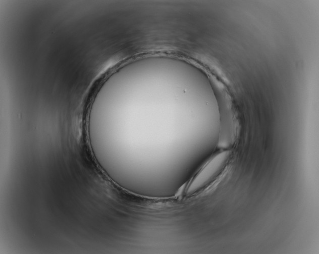 X0000086951165200705141816