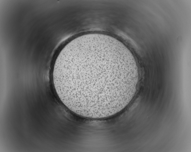 X0000086951166200705141816