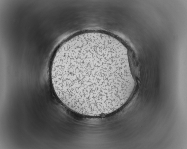 X0000086951167200705141816